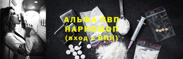 ГАЛЛЮЦИНОГЕННЫЕ ГРИБЫ Заводоуковск
