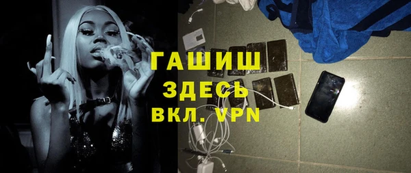 гидра Елизово