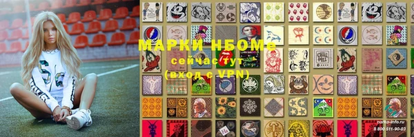 соль ск Елабуга