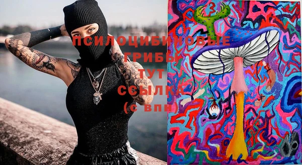 соль ск Заволжье