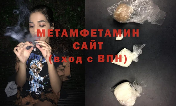 гидра Елизово