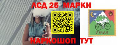 амф Можга
