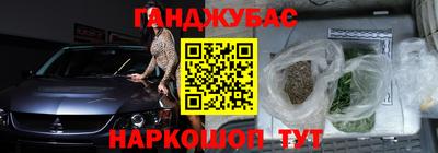 амф Можга
