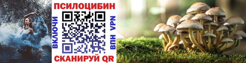 Псилоцибиновые грибы прущие грибы  OMG зеркало  Каменск-Шахтинский  сколько стоит 