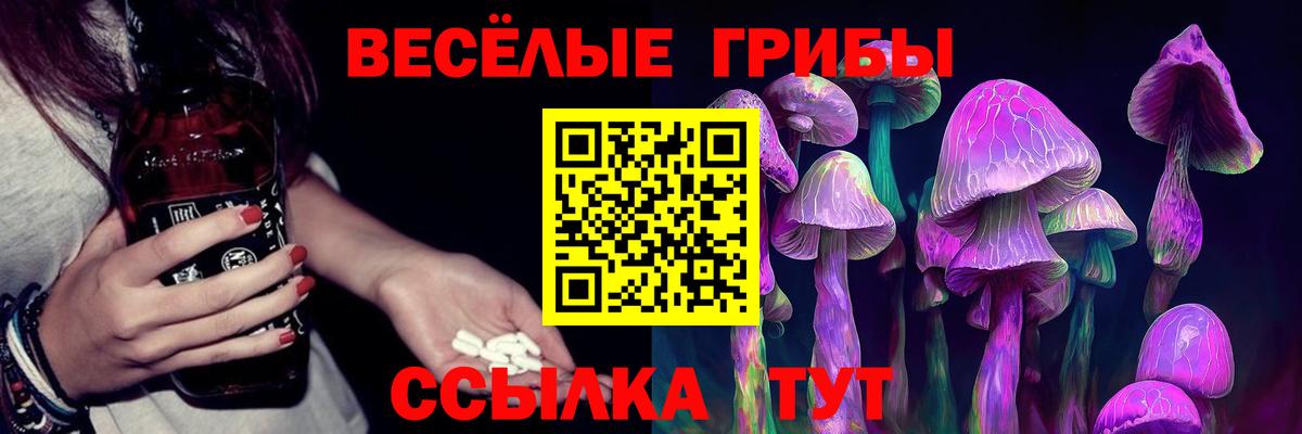 Каменск-Шахтинский  Псилоцибиновые грибы прущие грибы  Вход с VPN 